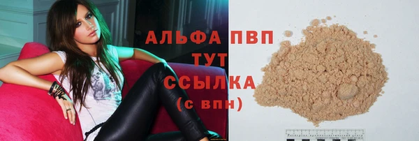 индика Белокуриха