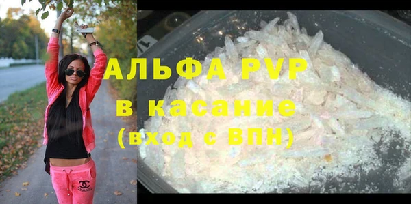 индика Белокуриха