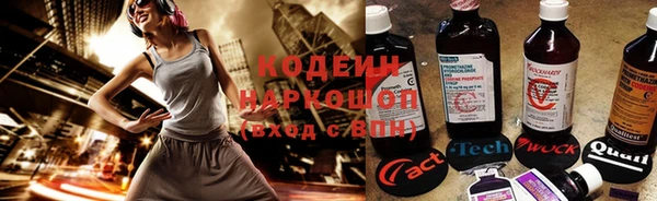 индика Белокуриха